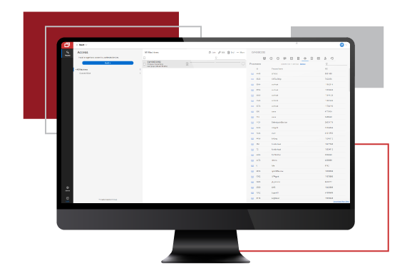 desktop monitor showing AFFILIATED COMPUTER SERVICESControl Access