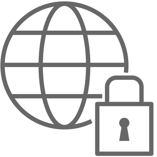 web security icon